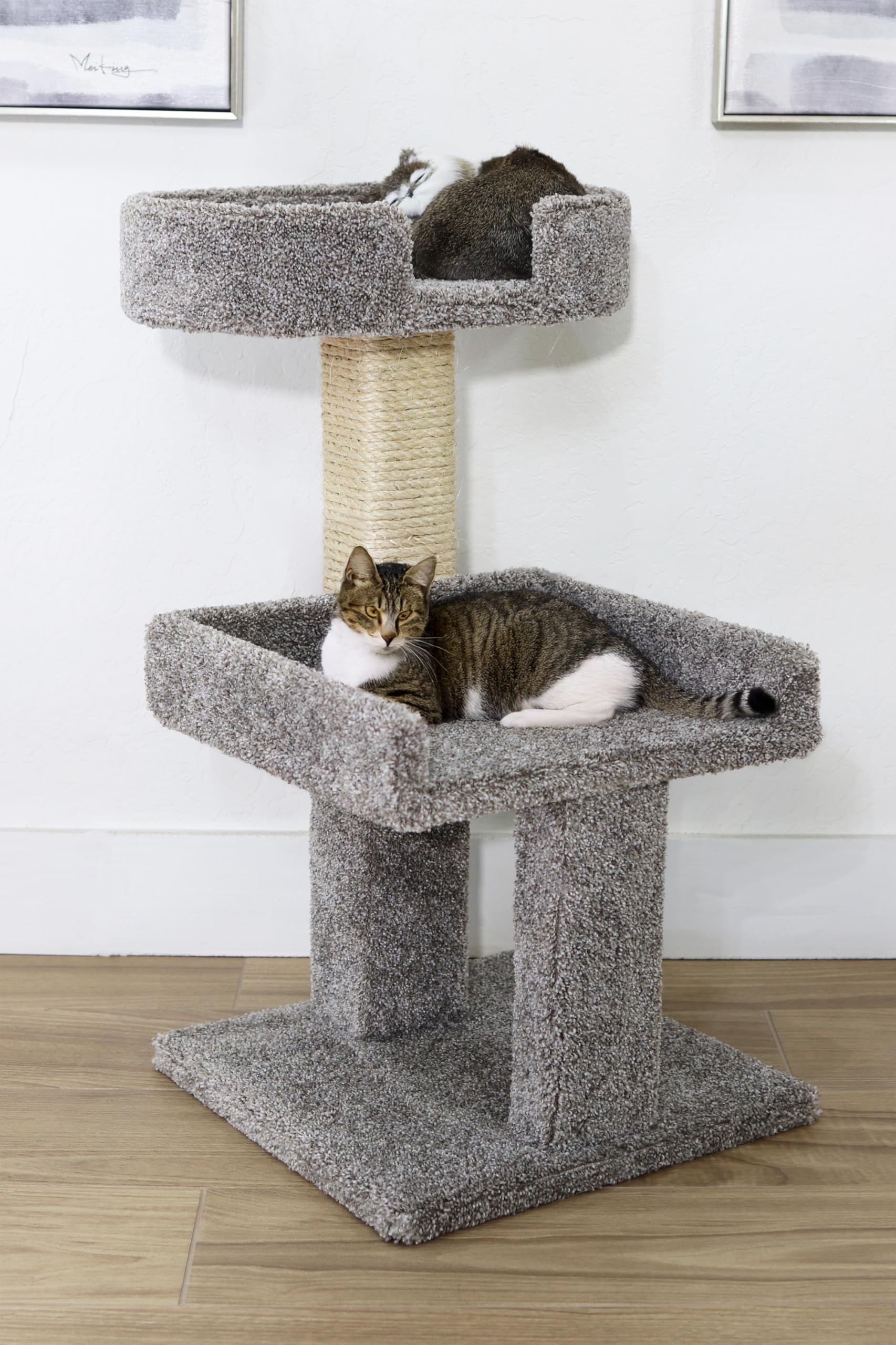 New Cat Condos Carpeted Cat Perch