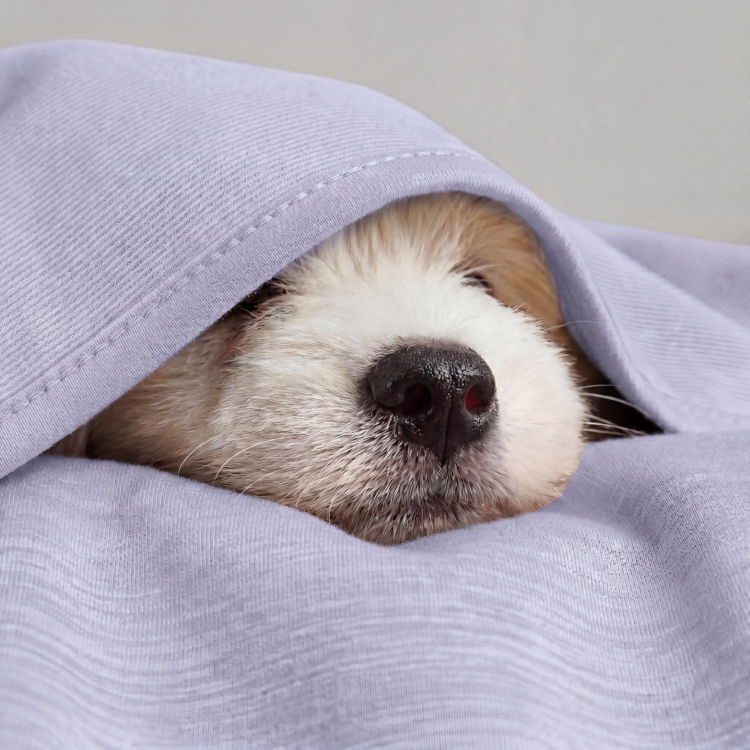 Blankets and Throw