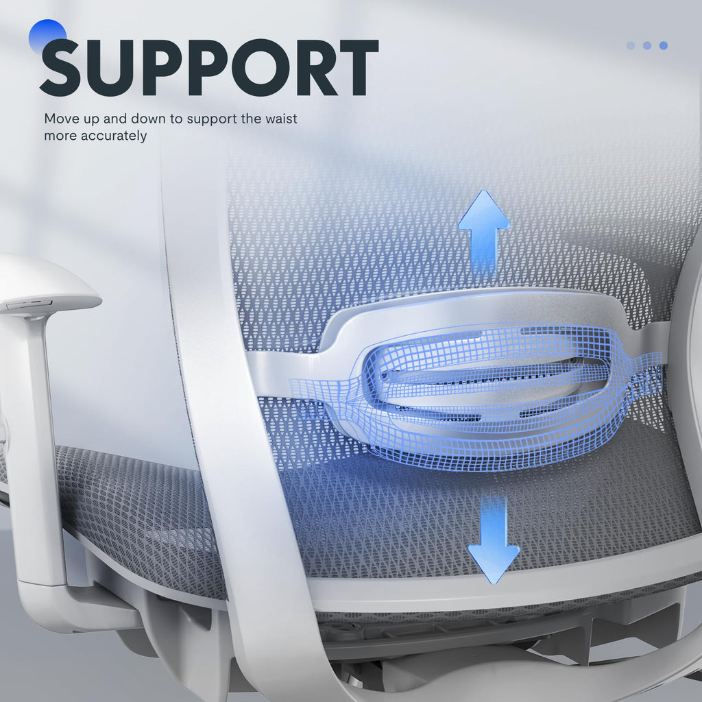 Flexispot Ergonomic Office Chair High Back Mesh Swivel Computer Chair Executive Office Desk Chairs with Adjustable Lumbar Support/2d