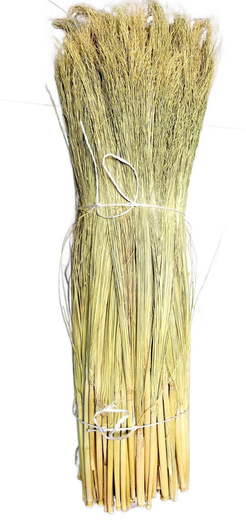 Parker Homestead Craft Broom Corn with Stalks 2 Pound Bundle 24-36" Length