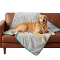 Blankets and Throw