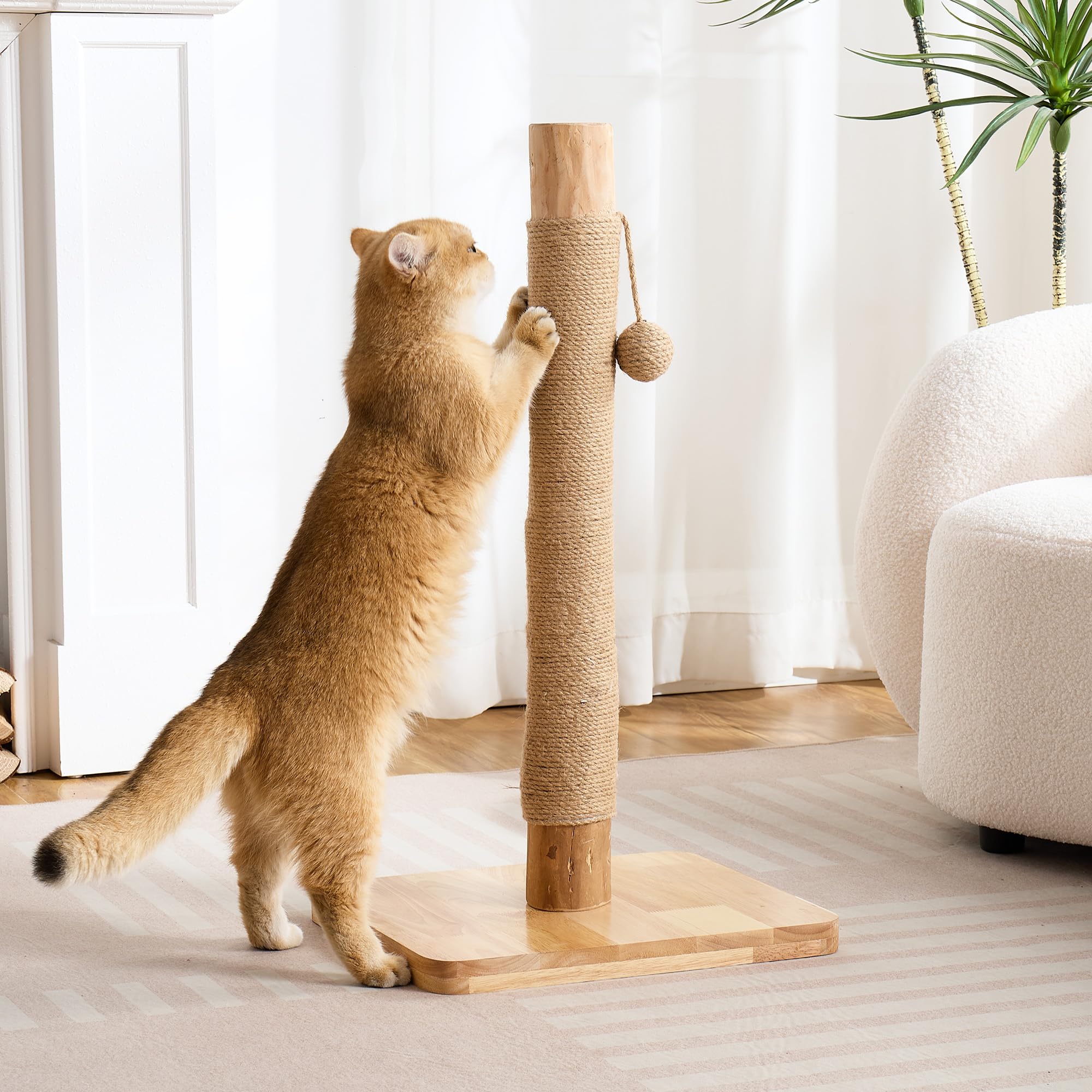 29" Tall Solid Wood Cat Scratching Post for Indoor Cats, Extra Stable Heavy Base, Natural Sisal Scratcher with Hanging Ball, Furniture Protector for Kittens & Adult Cats, Beige