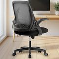 Neo Chair Office Desk Chair, Ergonomic Mesh with Flip-up Armrests, Black, Mesh Chair
