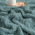 Blankets and Throw