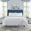 Bedding Comforters