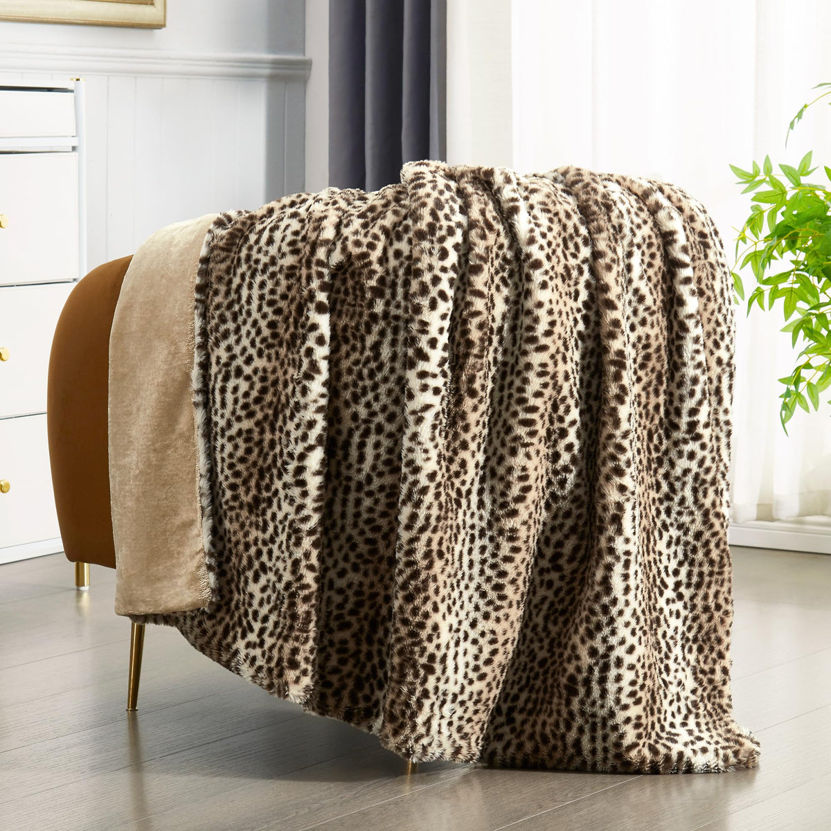 Blankets and Throw