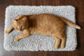 23 x12 Big Fluffy Dog Cat Bed Pad Mat, Refurbish Cat Window Perch Accessory, Double Sided, Easy Fasten & Remove for Indoor Pet Sleep Cushion, Upholster Pet Furniture