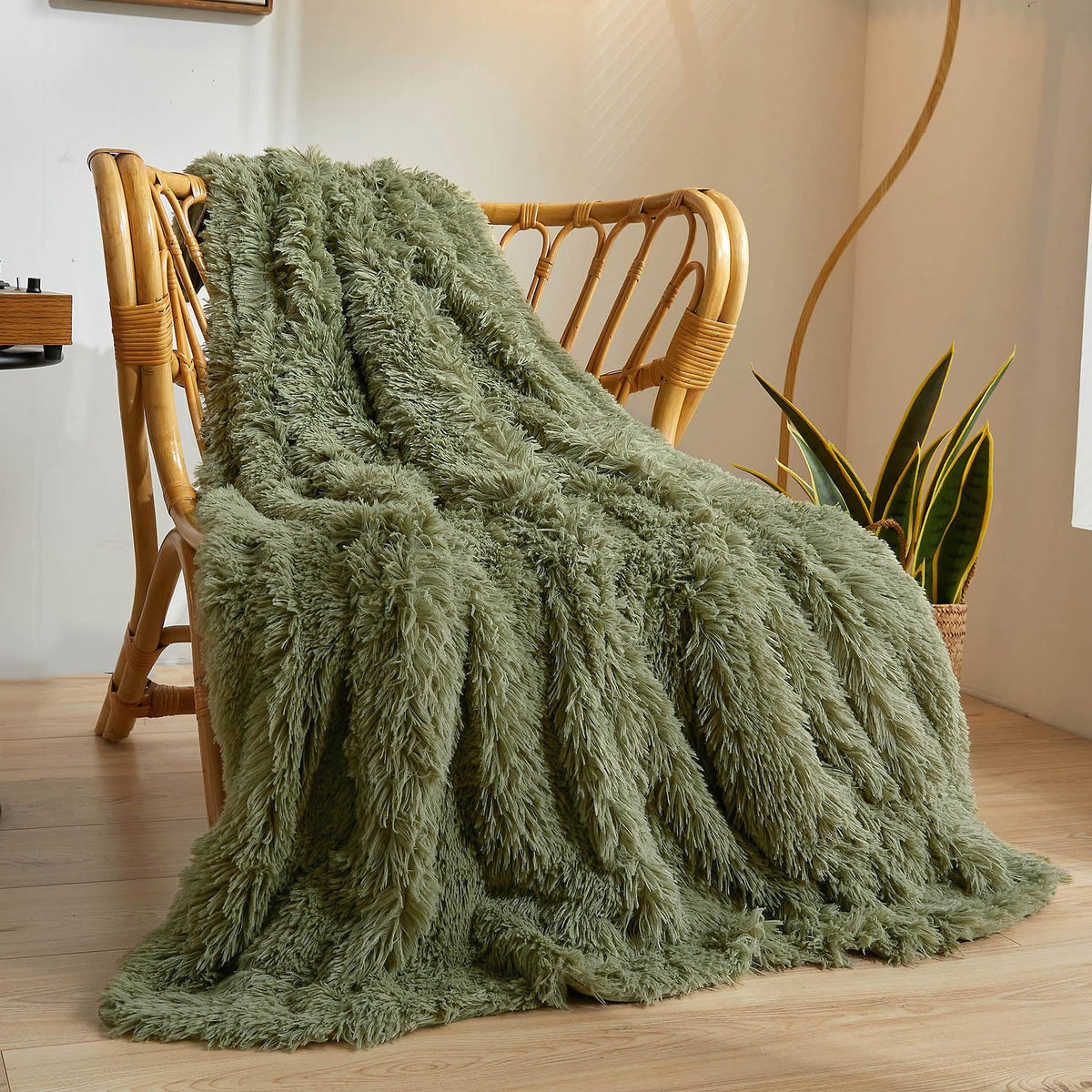 Blankets and Throw
