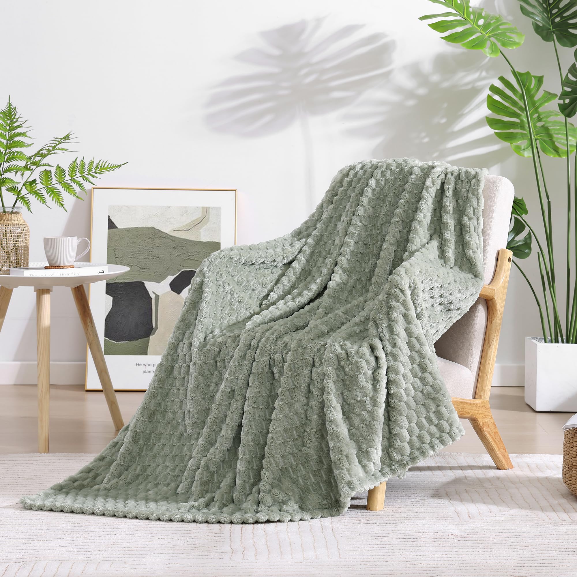 Blankets and Throw